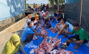 Terbanyak di Kedawung, Desa Pengkok Sragen Sembelih 152 Sapi dan 46 Kambing