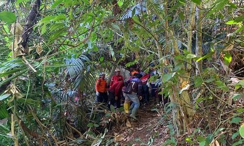 Sepekan Hilang di Hutan, Nenek di Pekalongan Ditemukan Meninggal