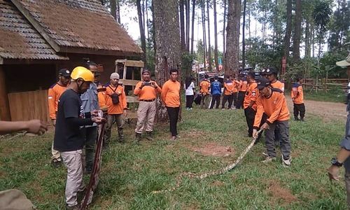 Biar Tak Keliru, 165 Sukarelawan Wonogiri Diajari Cara Tangani Ular dan Tawon