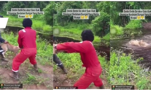 Viral 3 Pria Lempar Anjing ke Rawa Penuh Buaya Akhirnya Ditangkap Polisi