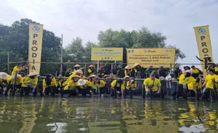 Ikut Kurangi Polusi Udara, Prodia Tanam 1.000 Mangrove di Bekasi