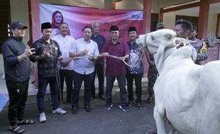 Jokowi dan Puan Kirim Hewan Kurban ke Boyolali, Total 9 Sapi & 10 Kambing