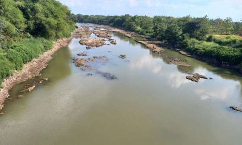 Uniknya Sidowarno Klaten, Terbelah Sungai Bengawan Solo tapi Malah Bebas Banjir