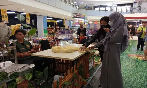 Ada Kucing hingga Ular di Pakuwon Mall Solo Baru, Pengunjung Antusias