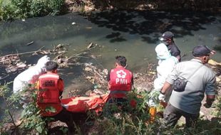 Kakek-kakek Ditemukan Mengapung Tak Bernyawa di Sungai Nglorog Sragen