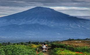 Tertinggi Kedua di Jawa Tengah, Gunung Sumbing Ternyata Masih Aktif