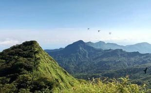 Viral 5 Pendaki Wanita Nyasar di Gunung Muria, Begini Kronologi & Kondisinya