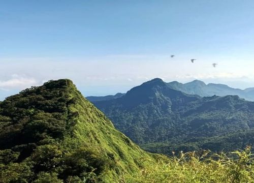 Viral 5 Pendaki Wanita Nyasar di Gunung Muria, Begini Kronologi & Kondisinya