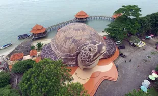 Inilah Kura-kura Ocean Park, Destinasi Wisata Edukasi di Pantai Kartini Jepara