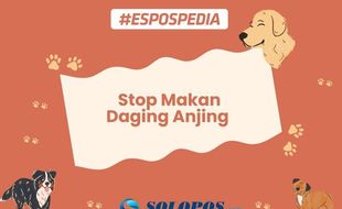 Stop Makan Daging Anjing