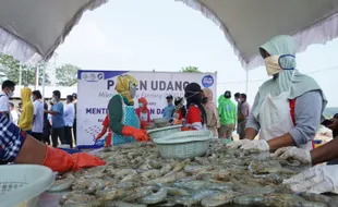 Musim Kemarau, Volume Ikan Budi Daya di Jateng Terancam Turun 30%