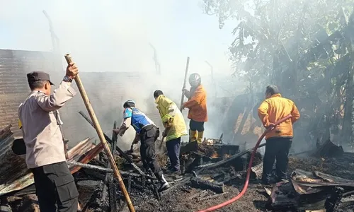 Kasihan, 14 Kambing Hangus Terbakar di Bulusulur Wonogiri