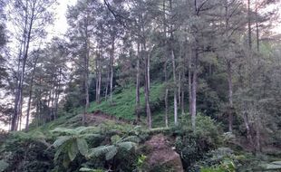 Jejak Kampung Siluman di Lereng Merapi Klaten, Hilang Tersapu Erupsi 1930