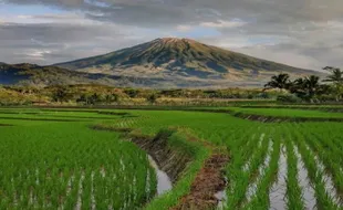 Gunung Sumbing Kebakaran, 61 Pendaki Dievakuasi