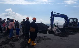 Hiu Paus Tutul Jumbo Mati Terdampar di Pantai Selok Anyar Lumajang