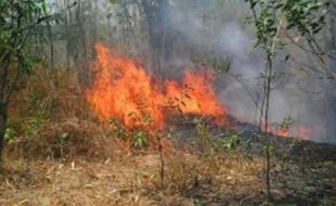 Rekor! Sehari 8 Kebakaran Lahan Terjadi di Klaten, Warga Diminta Waspada