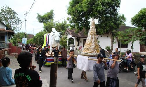 Meriah! 4.000 Lumpia Duleg Diarak lalu Jadi Rebutan Warga di Delanggu Klaten