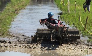 Peserta dari Sragen Ikut Nyemplung Sawah Balap Traktor di Kebonarum Klaten