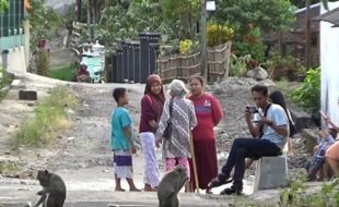 Telanjur Nyaman, Kawanan Monyet Kerap Masuk ke Permukiman Warga Bulu Sukoharjo