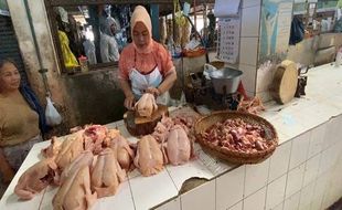 Mendag Zulhas Borong 20 Kg Ayam Pedagang Pasar Raya Salatiga