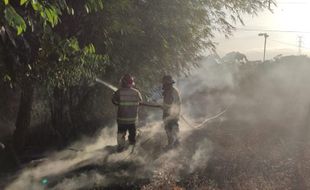 Lagi! 3 Kebakaran dalam Sehari di Boyolali, Tim Damkar sampai Kewalahan