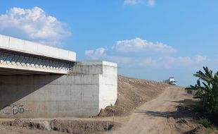 Terdampak Tol Jogja-Solo, Ratusan Pohon di Ring Road Sleman Bakal Ditebang