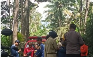 Apes! Gegara Sarang Lebah Jatuh di Karangnongko Klaten, 3 Orang Masuk RS