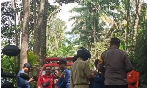 Apes! Gegara Sarang Lebah Jatuh di Karangnongko Klaten, 3 Orang Masuk RS