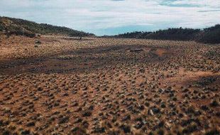 Eksotisme Tlogo Kuning, Kawah Purba Gunung Lawu yang Menyimpan Keindahan