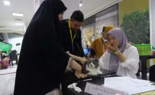 Gandeng Solo Grand Mall, Rumah Difabel Meong Gelar Lomba Kucing Gemoy