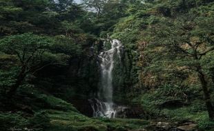 Ini Dia Curug Lawe Secepit Kendal, Surga Tersembunyi di Kaki Gunung Ungaran