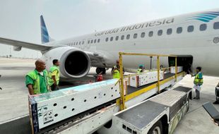 Garuda Indonesia Angkut 6 Ekor Komodo dari Jakarta menuju Labuan Bajo