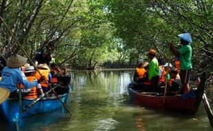 Hutan Mangrove Tapak Tugu Semarang, Berfungsi Cegah Abrasi Sekaligus Ekowisata