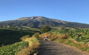 Intip Keindahan Gunung Sumbing via Jalanan Viral di Glapansari Temanggung