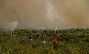 Darurat Karhutla, Walhi Temukan 7.376 Titik Api di 235 Konsesi Sawit di Kalbar