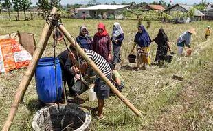 Kekeringan, Warga Cicurug Ciamis Antre Ambil Air Bersih di Tengah Sawah