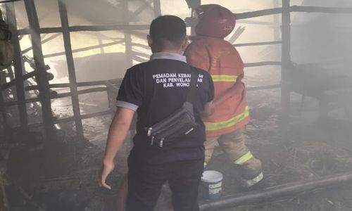 Kandang Ternak di Wuryorejo Wonogiri Terbakar, 1 Sapi Mati Terpanggang