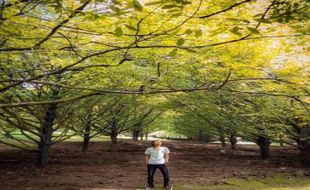 Kebun Pala Pageruyung Kendal, Mengingatkan Lokasi Syuting Film Drama Korea