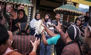 Meriah! Warga Berebut Ayam Nazar di Upacara Adat Mondosiyo Tawangmangu