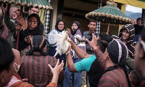 Meriah! Warga Berebut Ayam Nazar di Upacara Adat Mondosiyo Tawangmangu