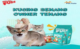 Marak Street Feeding, Pakan Kucing Dry Food Kemasan Botol Makin Diminati