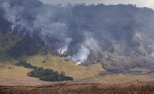 Savana Gunung Bromo Terbakar, BB TNBTS Kerahkan Tim Gabungan Padamkan Api