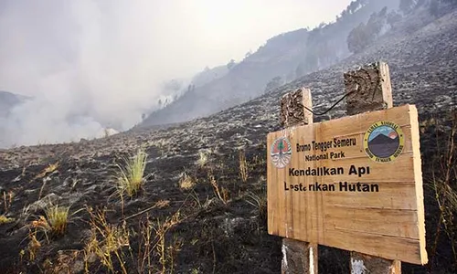 Kebakaran Hutan Berhasil Dipadamkan, Kawasan Wisata Bromo Kembali Dibuka