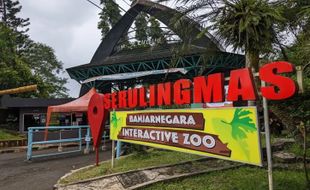 Serulingmas Zoo Banjarnegara, Kebun Binatang yang Tak Pernah Sepi Pengunjung