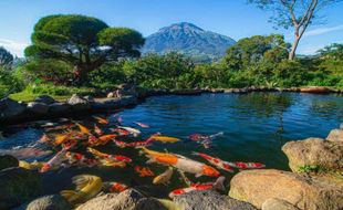 Sigandul View Temanggung, Tempat yang Tepat untuk Bersantai & Melepaskan Stres