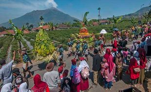 Tungguk Tembakau, Tradisi Awali Panen Tembakau Petani Lereng Merbabu Boyolali