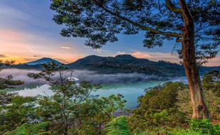 Indahnya Pesona Wana Wisata Petak 9 Bukit Sidengkeng Dieng Wonosobo