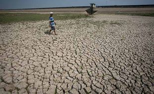 Waduk Botok Sragen Mengering, Ribuan Hektare Sawah Terancam