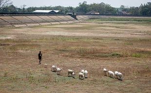 Musim Kemarau di Wilayah Ini Diprediksi Mundur