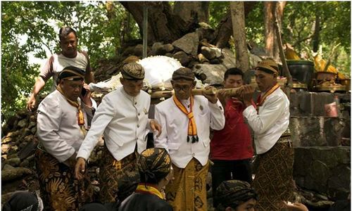 Kubur Kepala Kerbau, Uniknya Tradisi Mahesa Lawung di Krendowahono Karanganyar